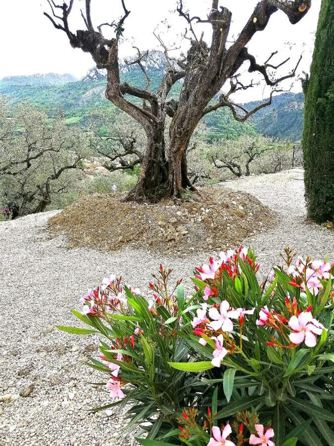 Le Mas Christiane Buis-les-Baronnies Kültér fotó